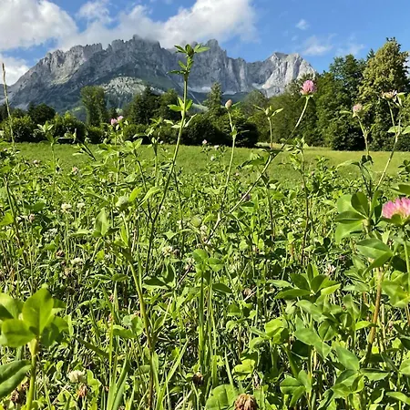 Mountain By Belle-stay