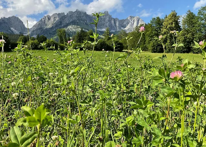 Mountain By Belle-stay